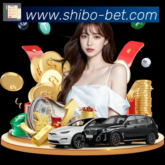 未来规划